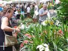 le march d'Alcudia