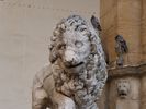 le muse en plein air de la loggia dei Lanzi, lion antique