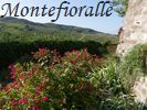 la vigne omniprsente