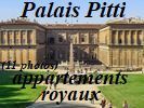 le Palais fut la rsidence de Lucca Pitti ambitieux banquier florentin, puis des Mdicis. Napolon y installa sa base en Toscane.