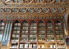 magnifique bibliothque