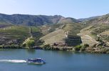amateurs de croisire