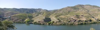 depuis 2000 ans, la vigne pousse dans cette grande valle aux versants pentus. Le schiste restitue au raisin la nuit la chaleur torride accumule le jour.