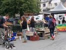le barbu est nu-pieds toute l'anne.