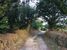 Chemin creux  Pen ar Crac'h