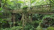 Le jardin des sous-bois en 4 clichés