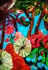 Les Jardins de Maria Serena  (Georgette Tavé)