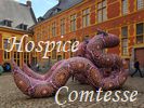 Muse de l'Hospice Comtesse (construit en 1237). Exposition temporaire - le Serpent Cosmique -  une nouvelle lecture de laventure artistique de lhomme au sein de la nature, en lien profond avec elle.