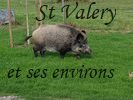 Le village de Pinchefalise dans la commune de Boismont. Jardin htroclite.