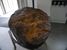 mtorite rapporte lors d'une expdition en Artique (masse : 950kg)